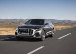 Audi SQ8 TDI 2019 года (WW)